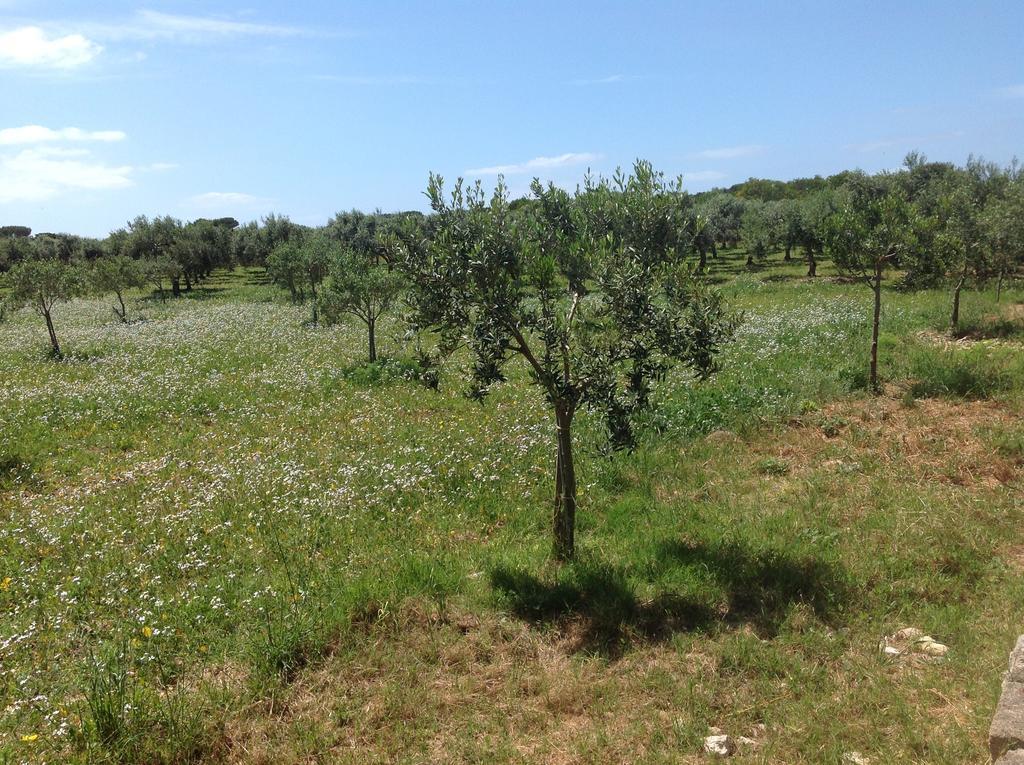 Appartamenti In Villa Senia Favignana Exterior foto